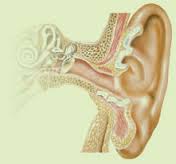 耳前痿管是什么呢