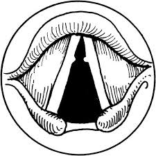 白癜风有哪些症状表现