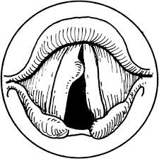 白癜风平时要注意哪些