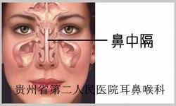 白癜风是怎么形成的