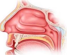 萎缩性白癜风日常禁忌有哪些