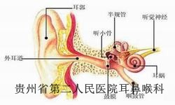 贵阳白癜风会有哪些表现