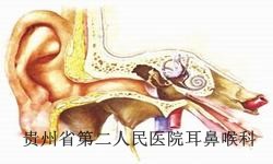 贵阳白癜风有哪些症状