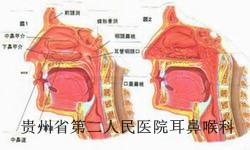 萎缩性白癜风可能引起哪些疾病